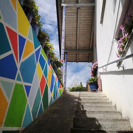 Seenah - Ihre Wohnung Am Bodensee / Untersee Gaienhofen  Eksteriør billede