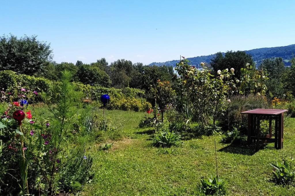 Seenah - Ihre Wohnung Am Bodensee / Untersee Gaienhofen  Eksteriør billede