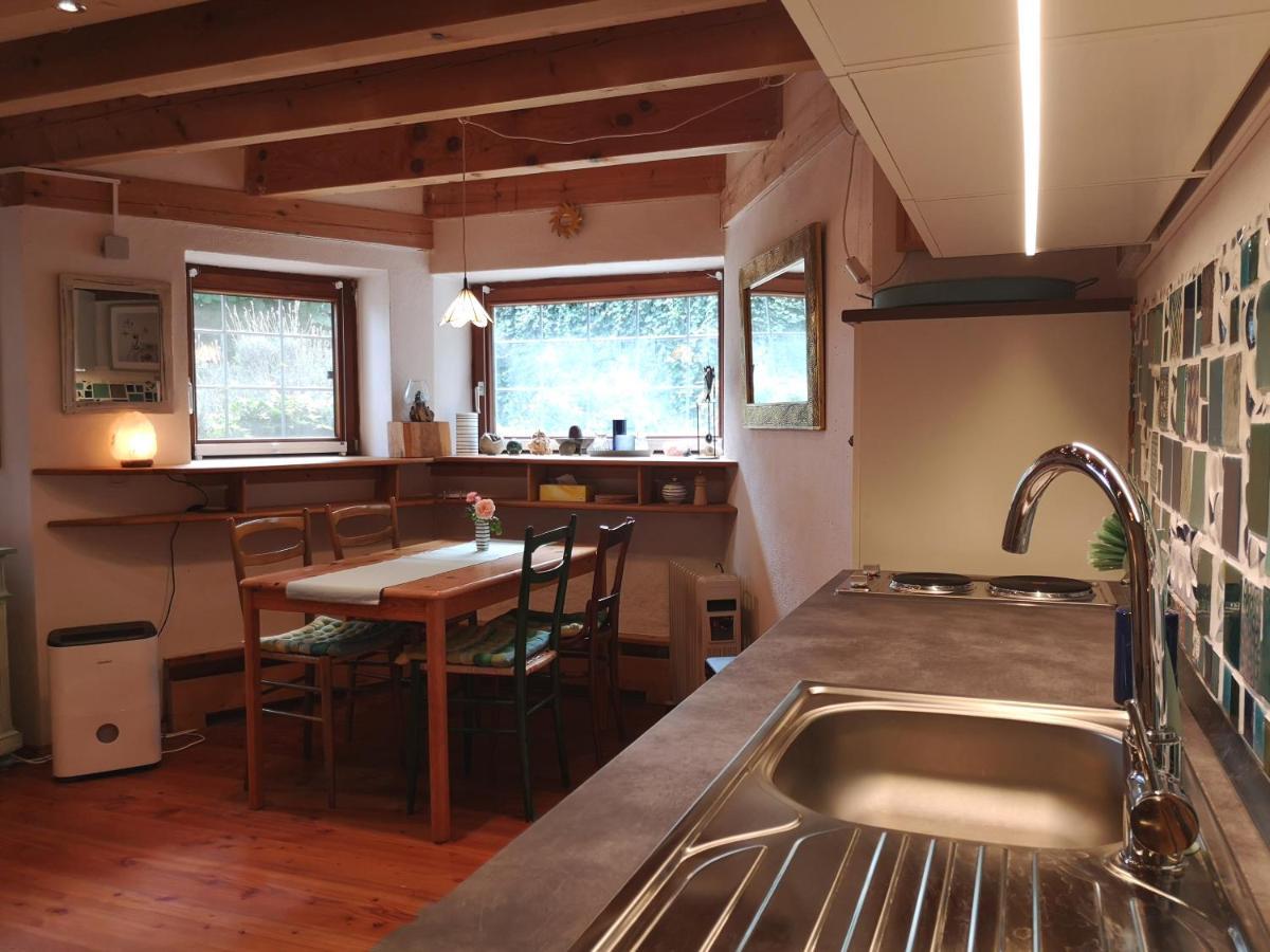Seenah - Ihre Wohnung Am Bodensee / Untersee Gaienhofen  Eksteriør billede