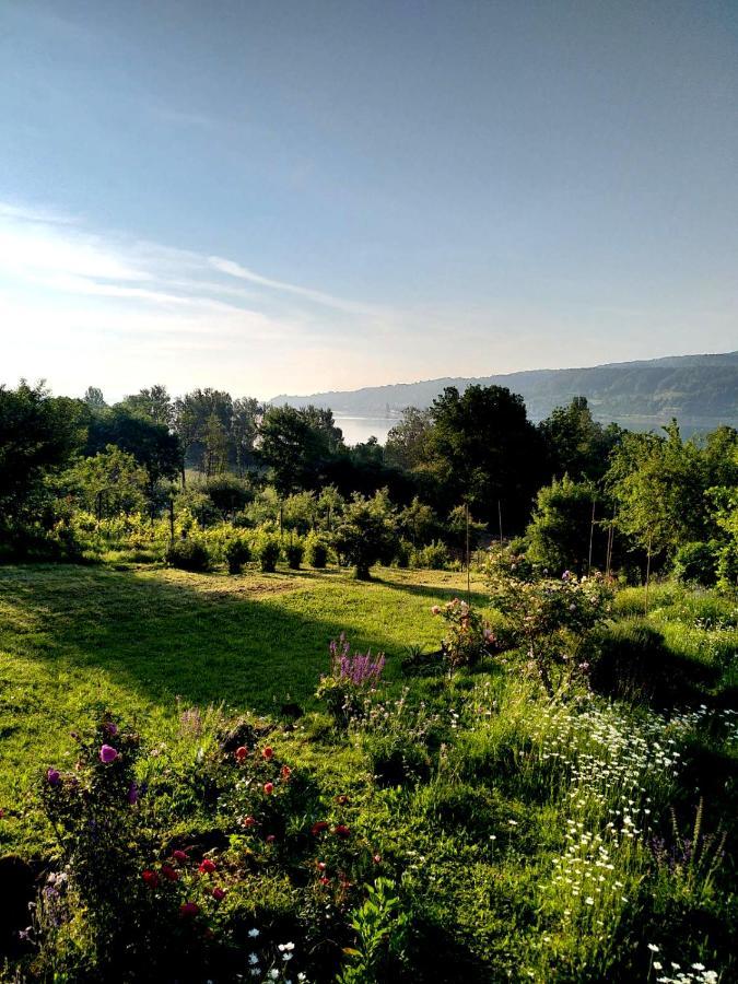Seenah - Ihre Wohnung Am Bodensee / Untersee Gaienhofen  Eksteriør billede